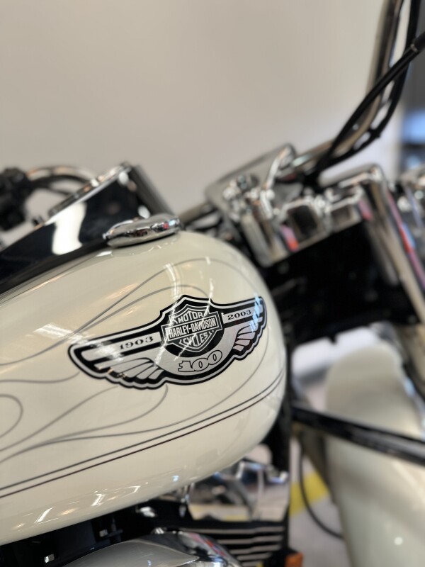 2003 Harley-Davidson Road King Classic Golden White Pearl - Photo 4