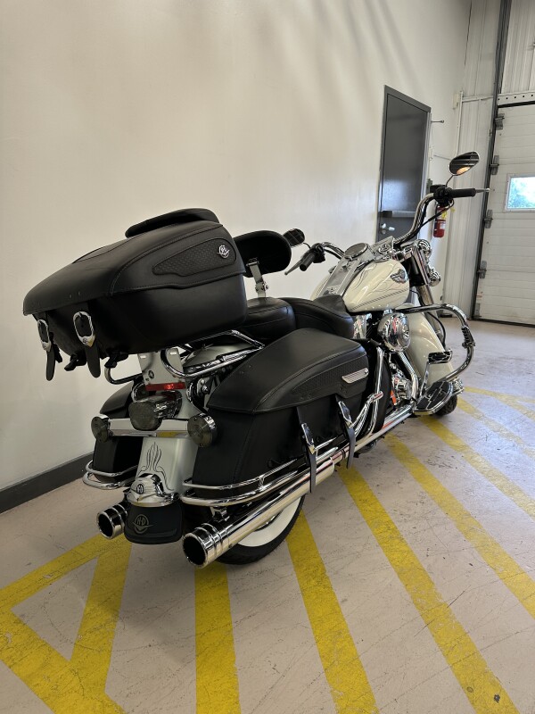 2003 Harley-Davidson Road King Classic Golden White Pearl - Photo 5