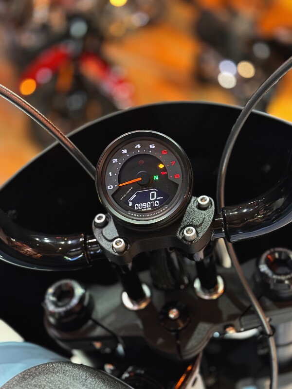 2024 Harley-Davidson Low Rider S Sharkskin Blue - Photo 9