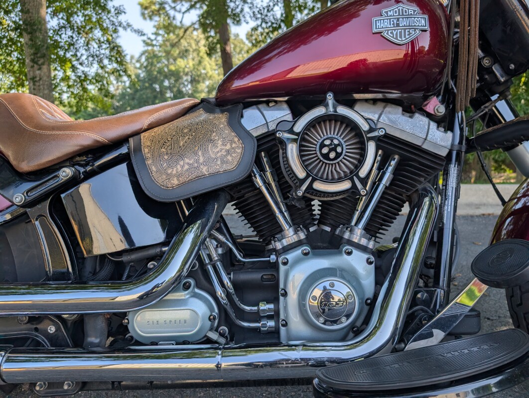 FLS 2014 Softail Slim - Photo 7