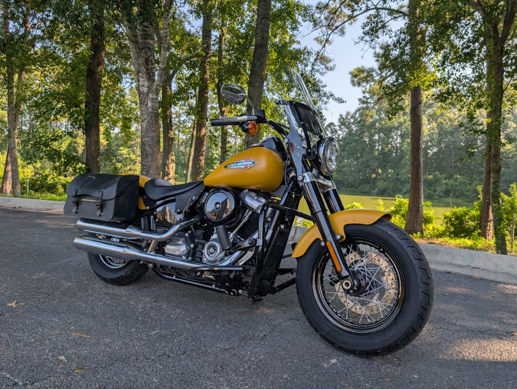 FLSL 2019 Softail Slim - Photo 5