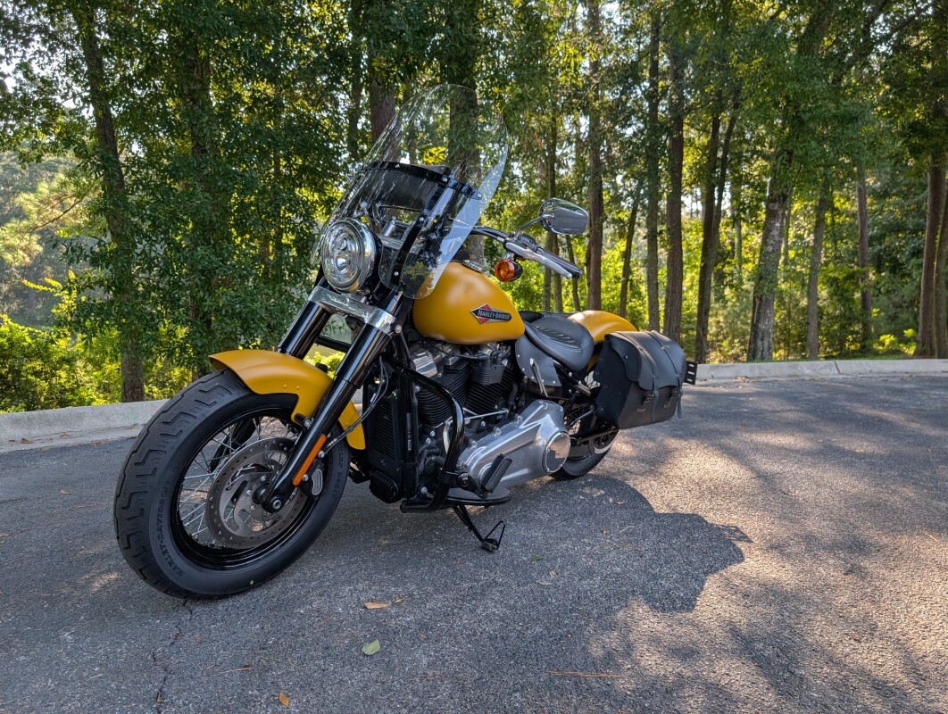 FLSL 2019 Softail Slim - Photo 10