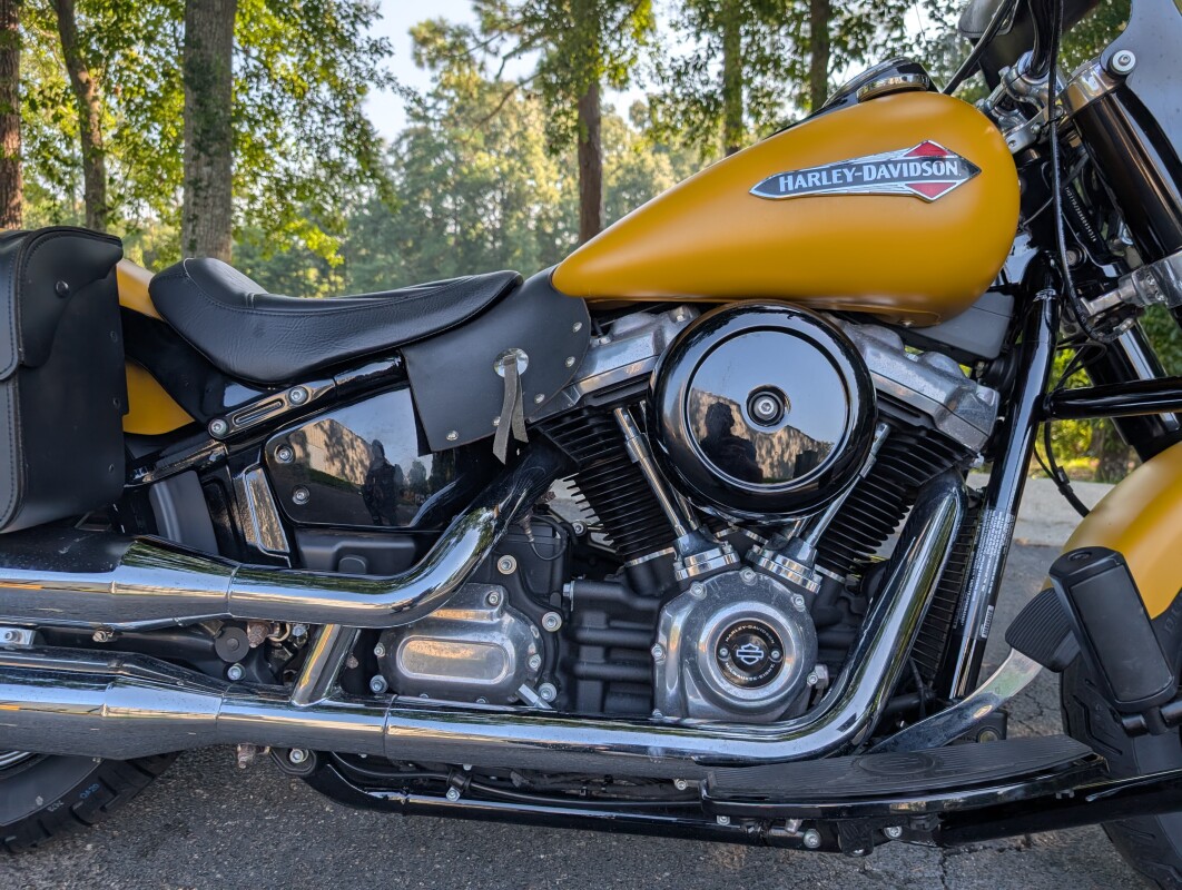 FLSL 2019 Softail Slim - Photo 7