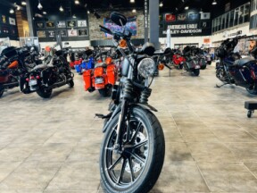 XL 883N 2020 Iron 883™ thumb 2