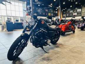 XL 883N 2020 Iron 883™ thumb 1