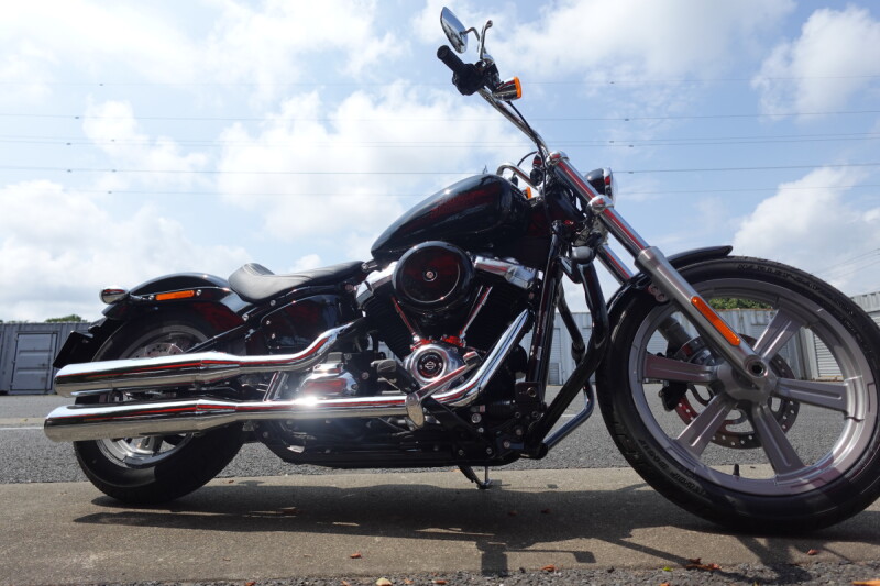 2024 Harley-Davidson<sup>®</sup> Softail<sup>®</sup> Standard Vivid Black