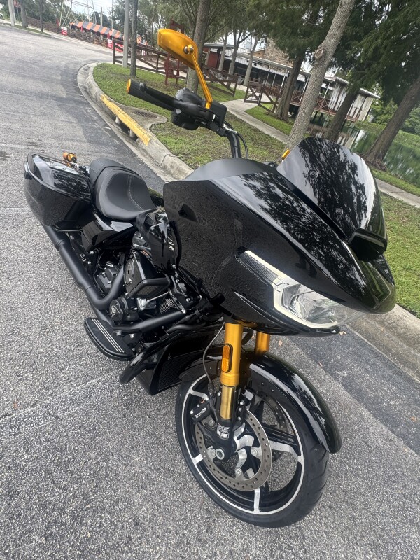 2025 Harley-Davidson Road Glide - Photo 9