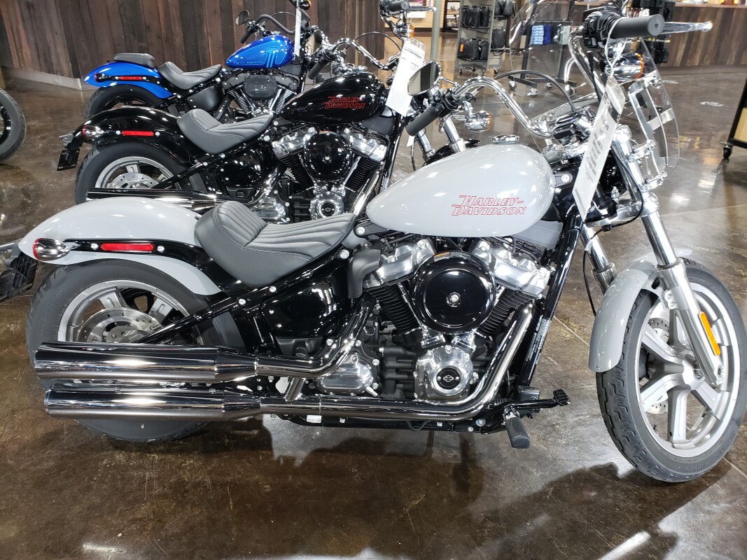 2024 Harley-Davidson Softail Standard Billiard Gray