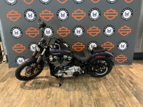 FXBB 2025 Street Bob™ thumb 0