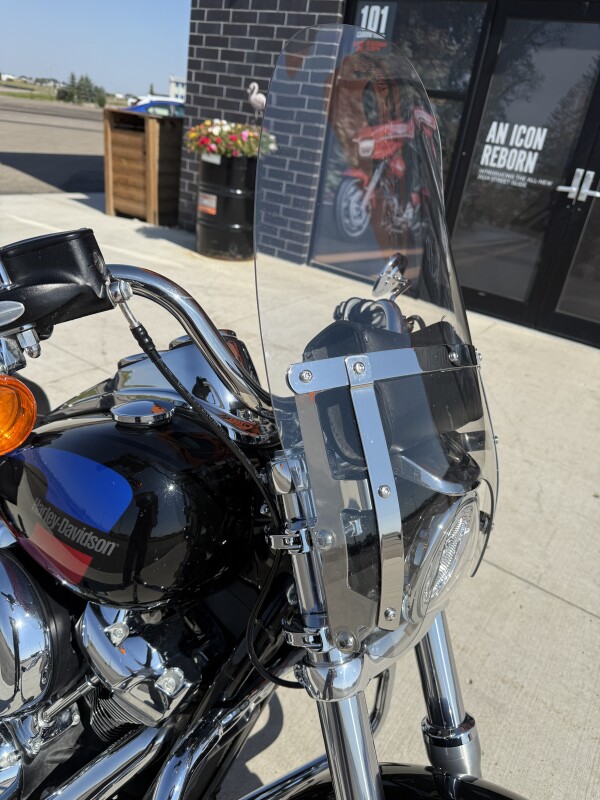 2018 Harley-Davidson Low Rider - Photo 6