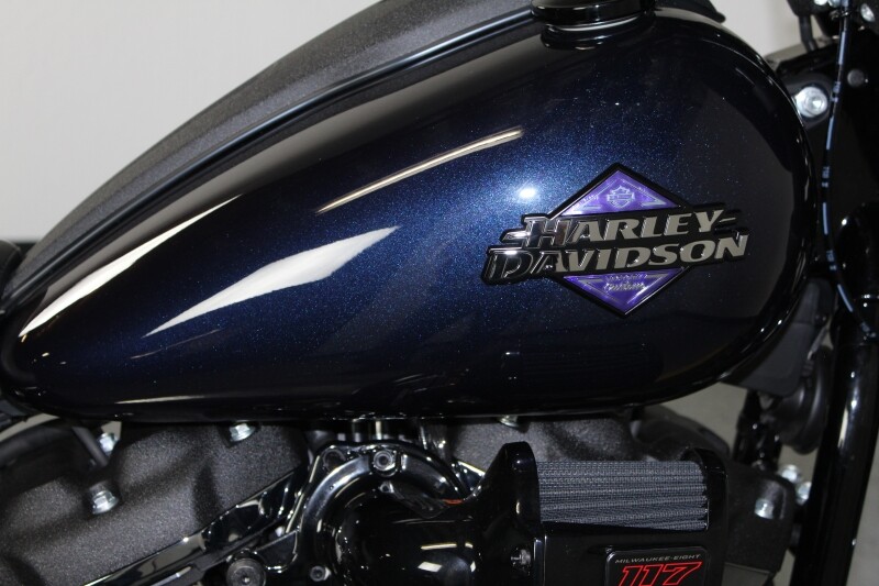 Harley-Davidson Low Rider S 2025 FXLRS 84627834 MYSTIC SHIFT - Photo 10