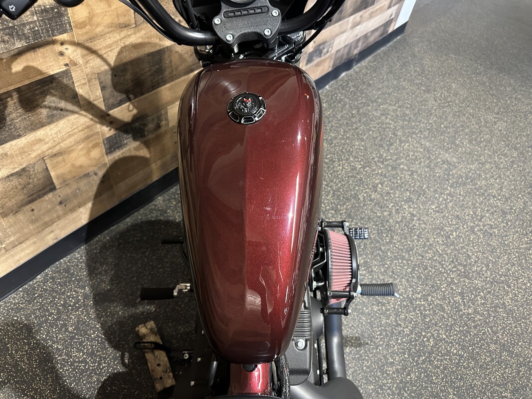 2019 Harley-Davidson Iron 1200 Twisted Cherry XL1200NS - Photo 5