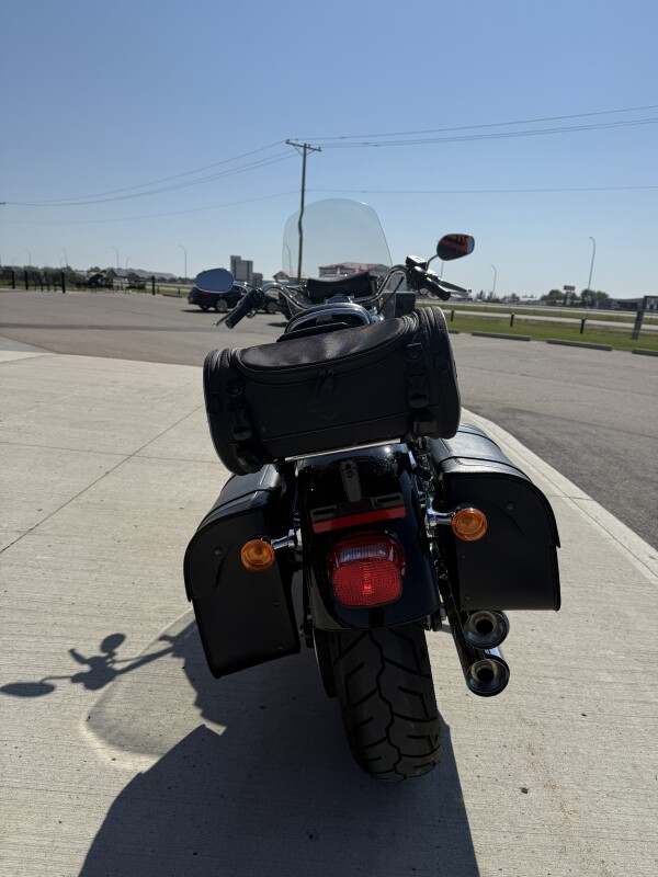 2018 Harley-Davidson Low Rider - Photo 4