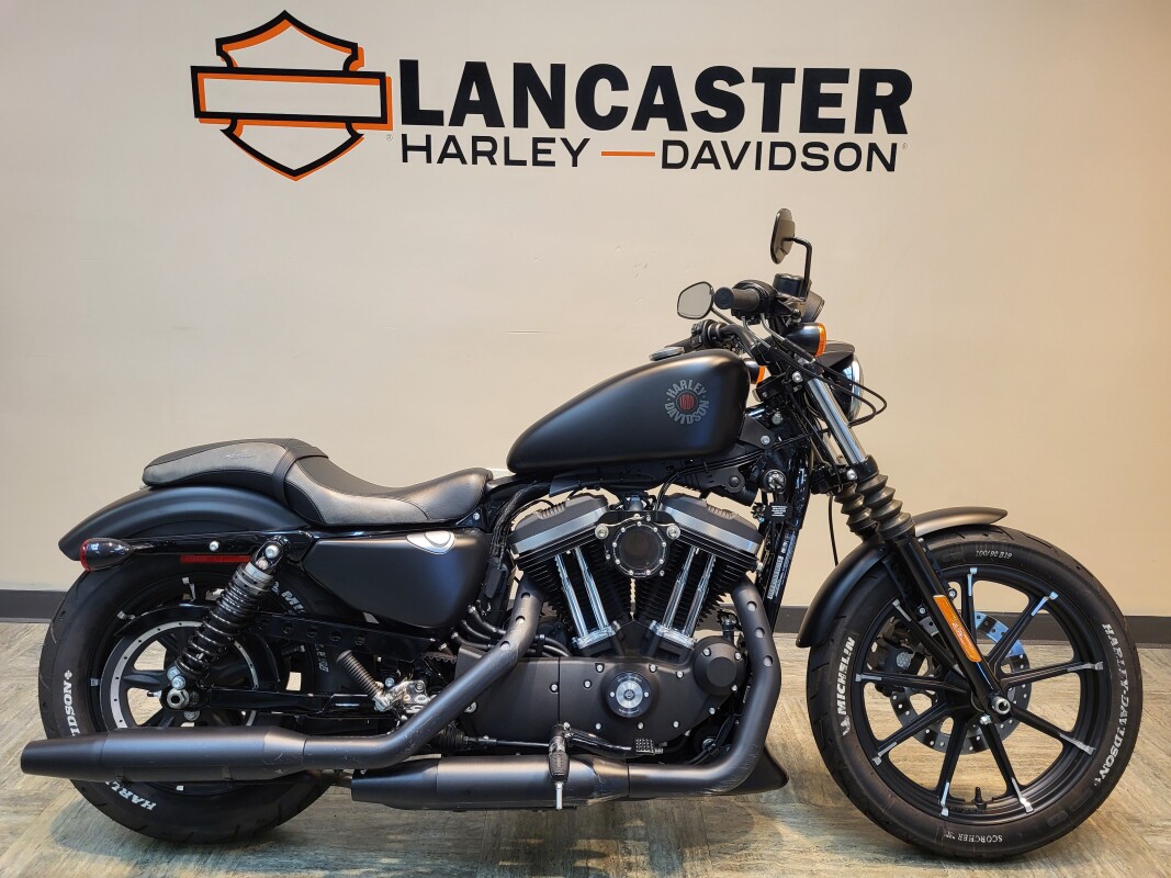 エル Sportsters Forever: David Zemla's custom Harley XLH 883 | Bike EXIF