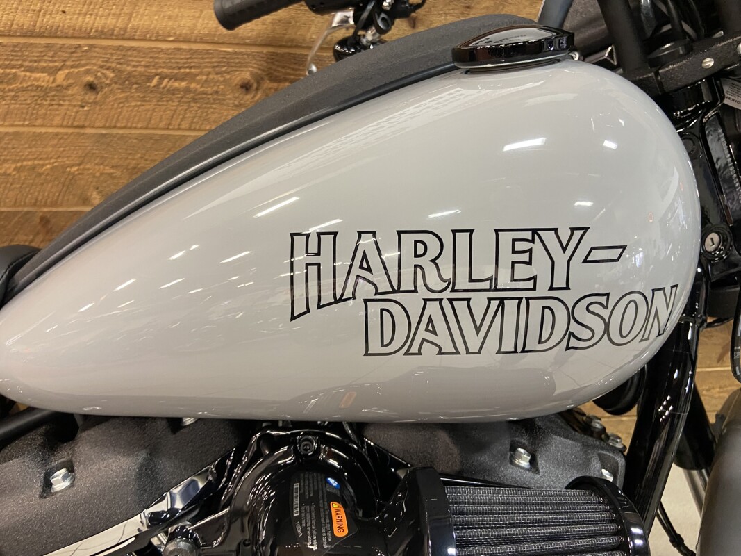 2025 Harley-Davidson Low Rider S Billiard Gray FXLRS - Photo 2