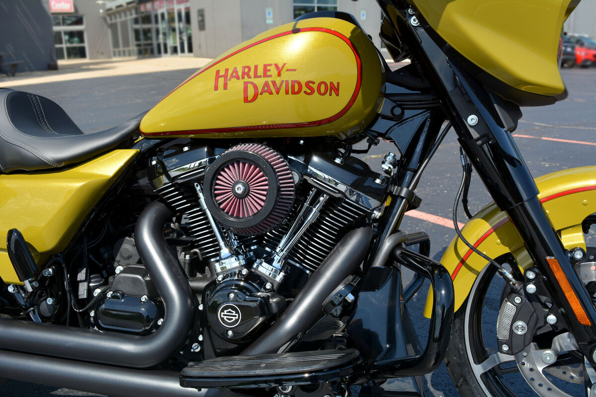 2025 Harley-Davidson Street Glide Custom - Photo 10