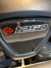 2025 SPORTSTER 1250S thumb 0