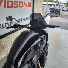 RA1250ST 2025 Pan America® 1250 ST thumb 0