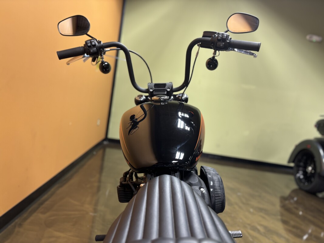 FXBBS 2021 Street Bob 114 - Photo 10