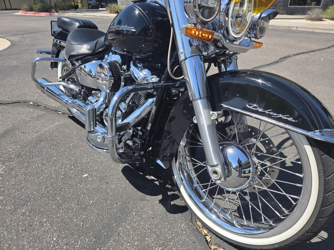FLDE 2019 Deluxe - Photo 2