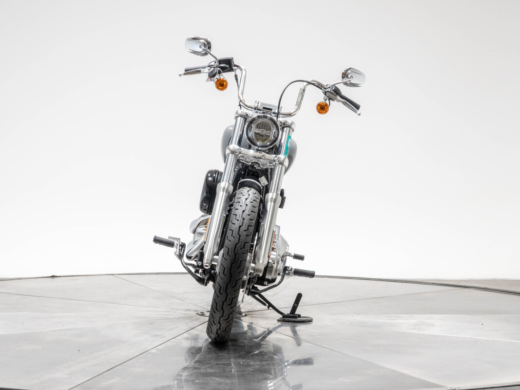 2024 Harley-Davidson FXST Softail Standard in Billiard Gray with 10 miles - Photo 6