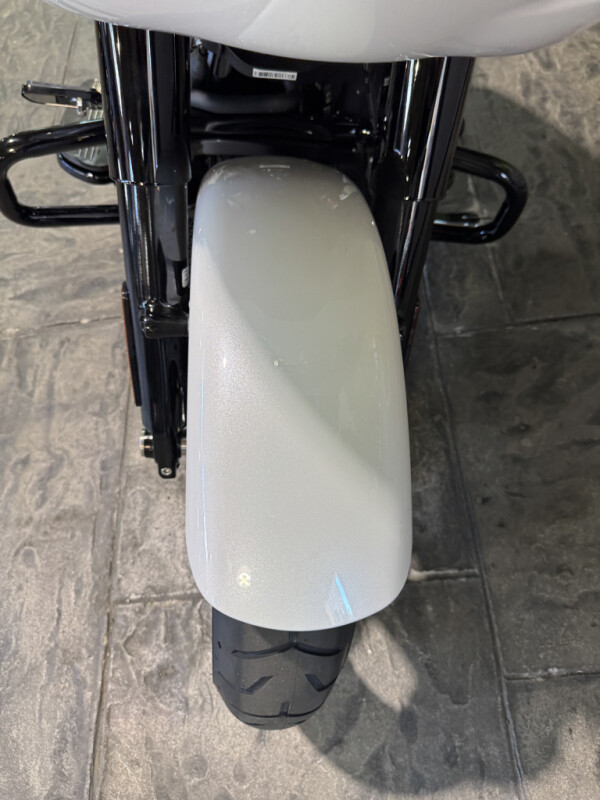 2025 Harley-Davidson Road Glide - Photo 8