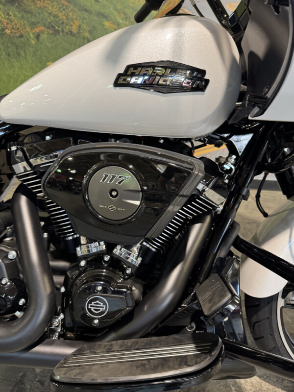 2025 Harley-Davidson Road Glide - Photo 3