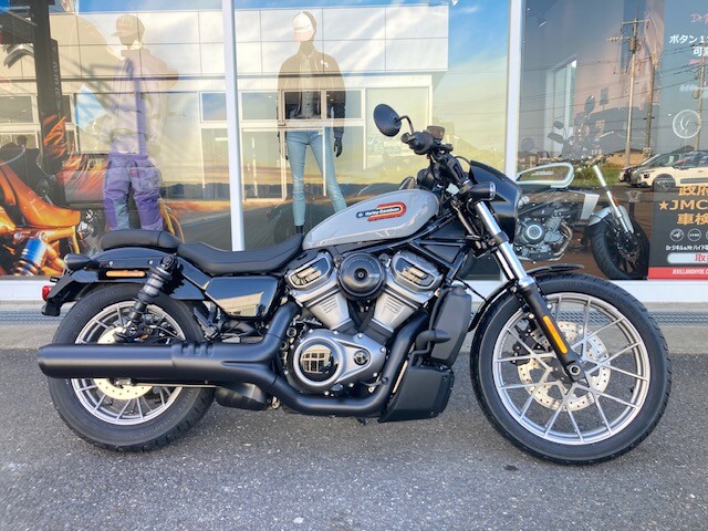 2024 Harley-Davidson® Nightster™ Special Billiard Gray