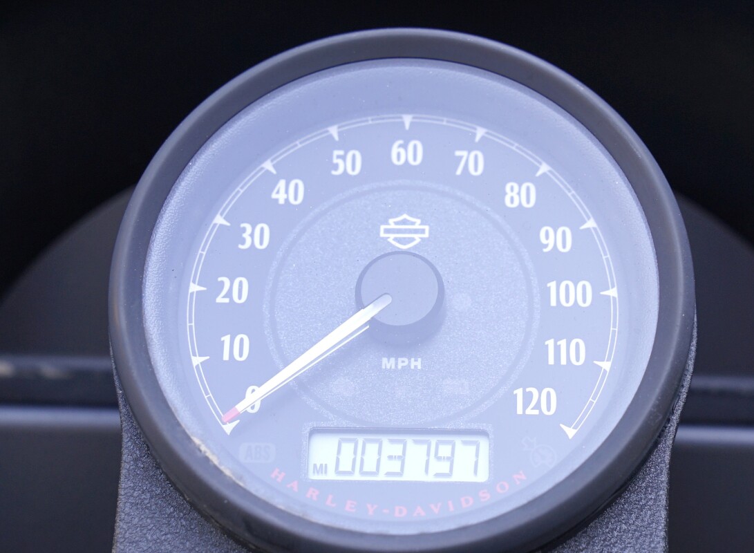 Iron 1200 - Photo 8