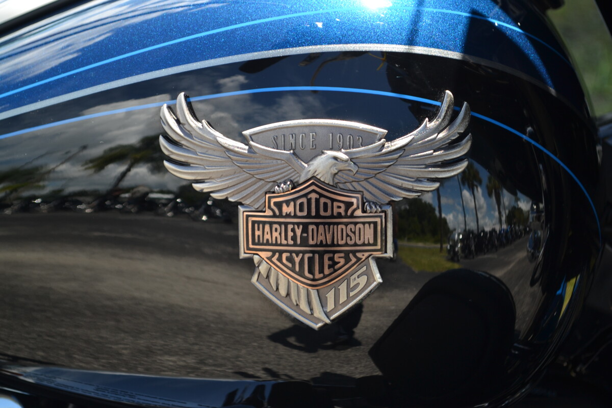 2018 Harley-Davidson 115th Anniversary Ultra Limited - FLHTK - Photo 3