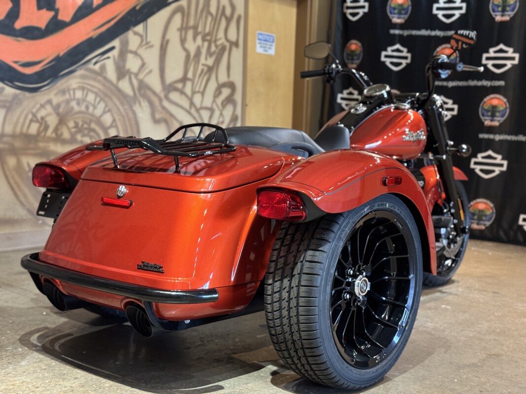 FLRT 2025 Freewheeler - Photo 5