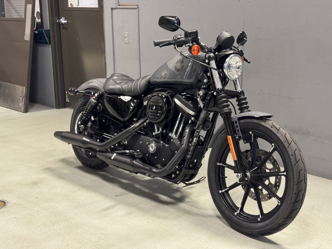 XL 883N 2022 Iron 883 - Photo 4