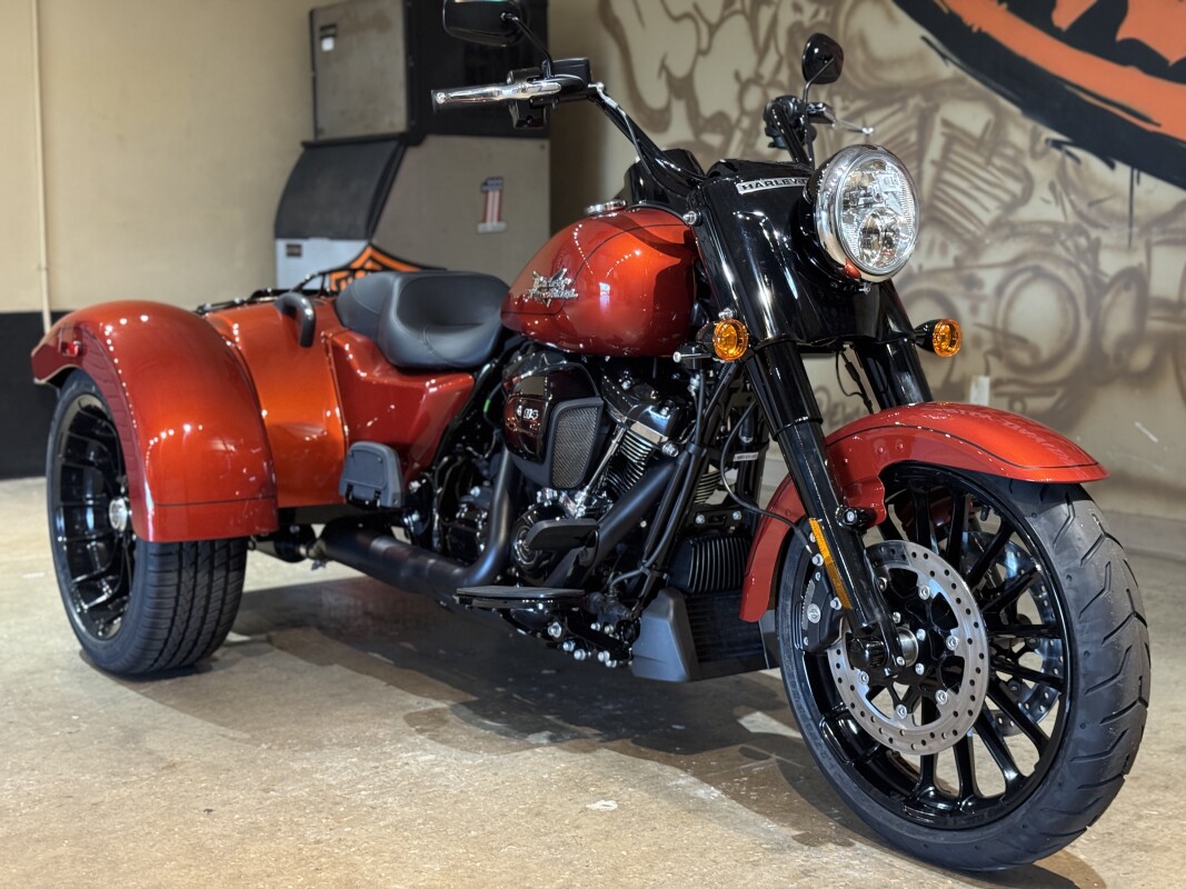 FLRT 2025 Freewheeler - Photo 3