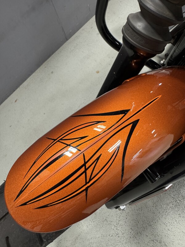 XL 883N 2014 Iron 883 - Photo 8