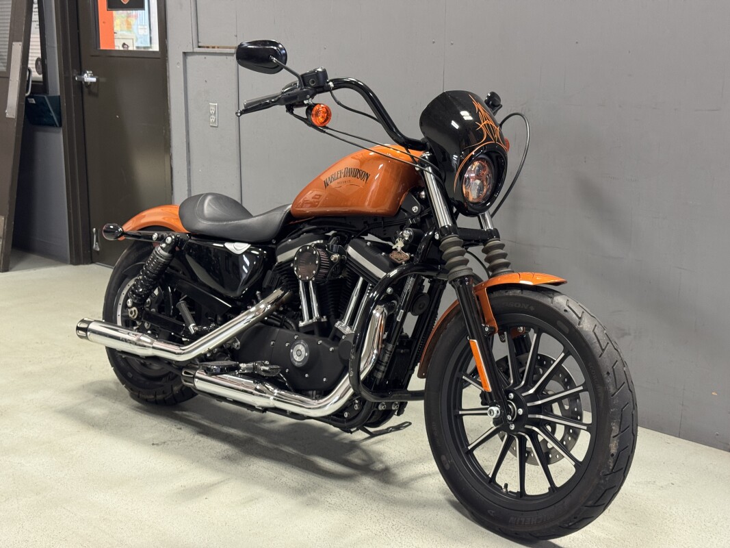 XL 883N 2014 Iron 883 - Photo 3