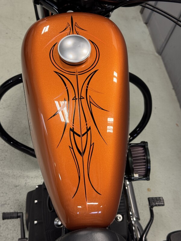 XL 883N 2014 Iron 883 - Photo 7