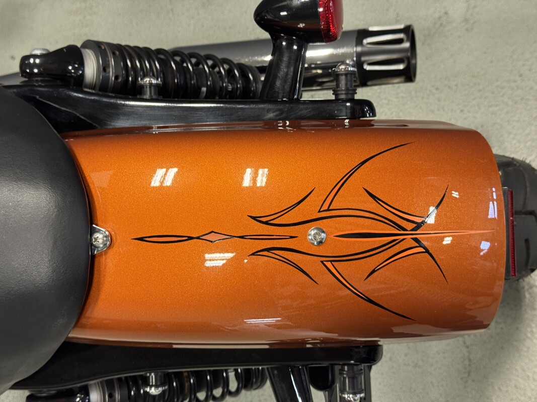 XL 883N 2014 Iron 883 - Photo 9