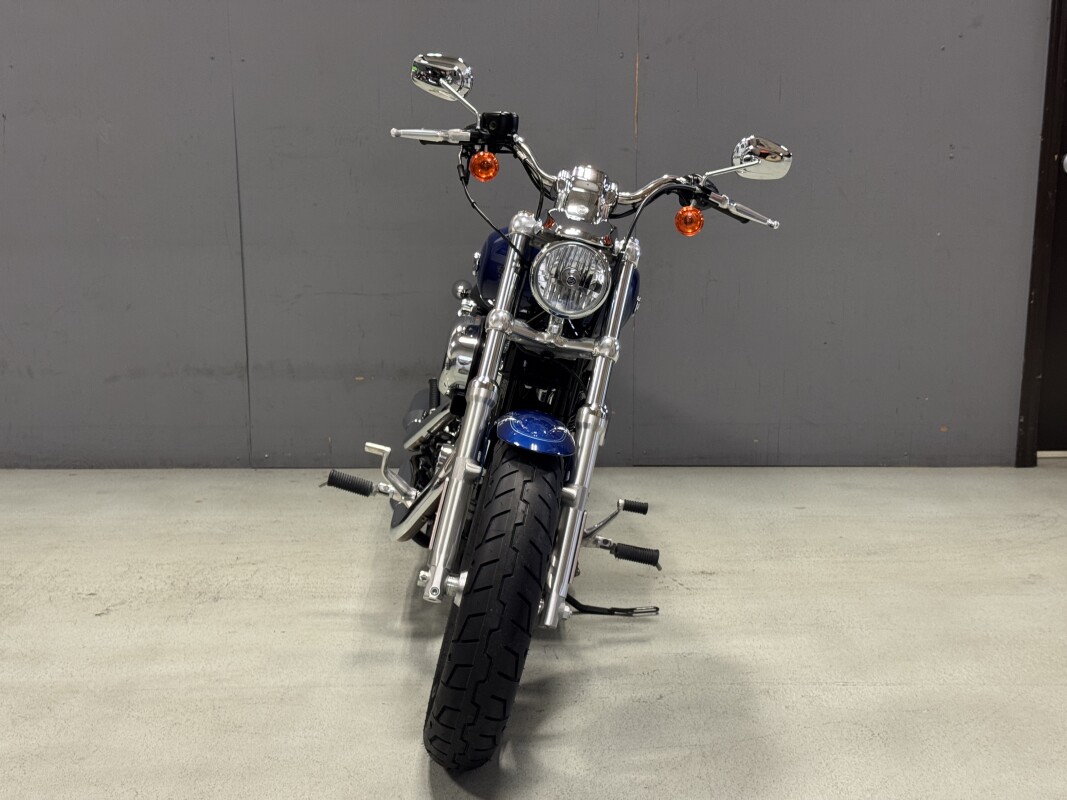 XL1200C 2015 1200 Custom - Photo 8