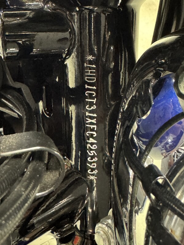 XL1200C 2015 1200 Custom - Photo 10