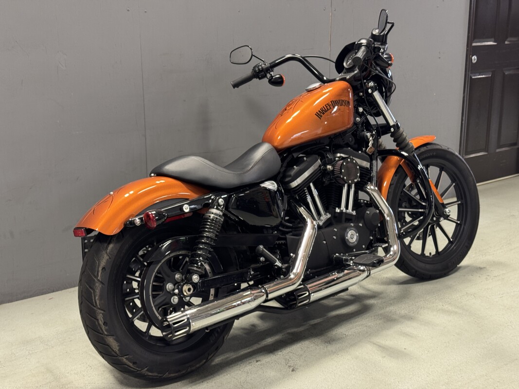 XL 883N 2014 Iron 883 - Photo 5