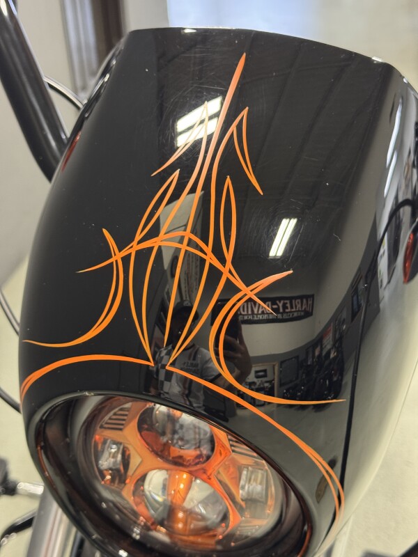 XL 883N 2014 Iron 883 - Photo 10