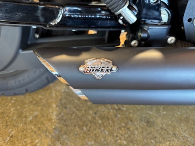 2021 Harley Davidson Iron 883 XL883N - Photo 2