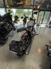 Street Bob  thumb 2