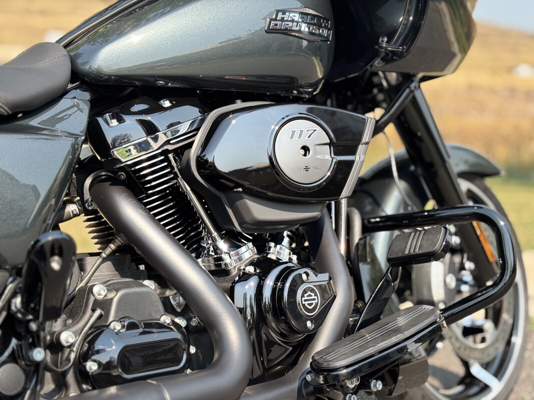 2025 Harley-Davidson Road Glide Iron Horse Metallic - Photo 10