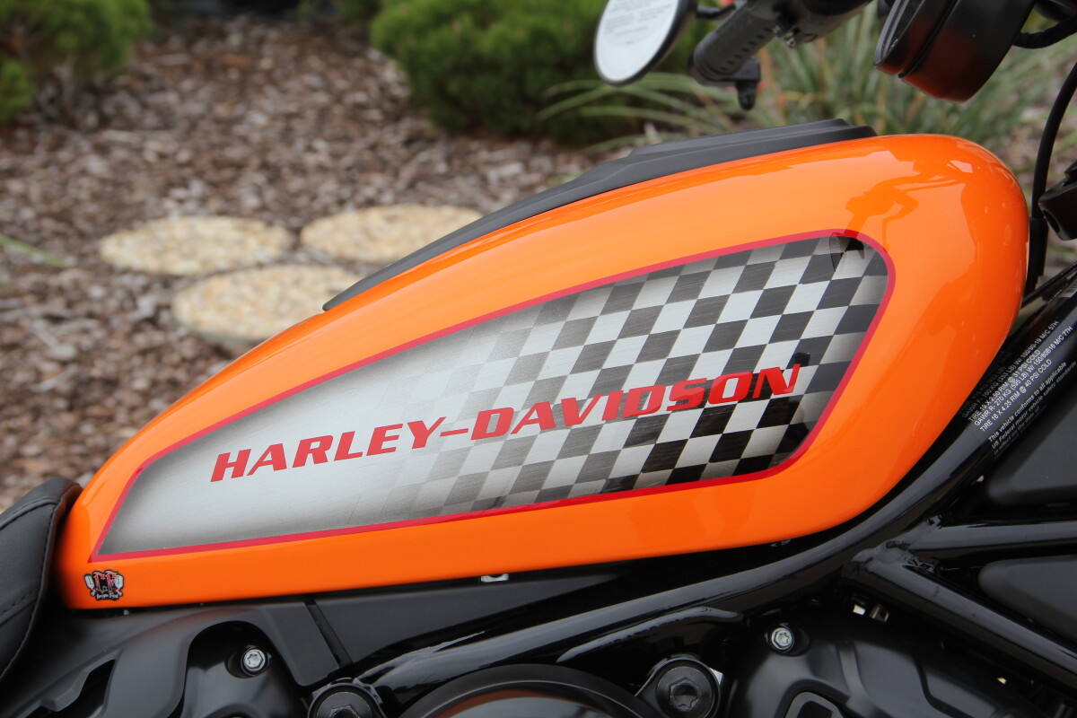 2025 Harley-Davidson Nightster Special Custom Paint - Photo 10