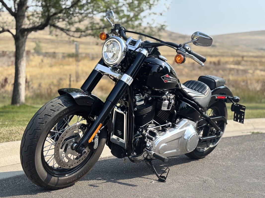 2019 Harley-Davidson Softail Slim Vivid Black - Photo 5
