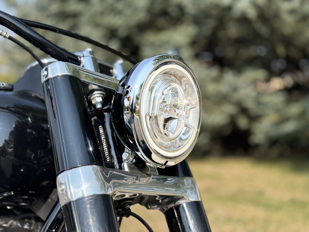 2019 Harley-Davidson Softail Slim Vivid Black - Photo 9