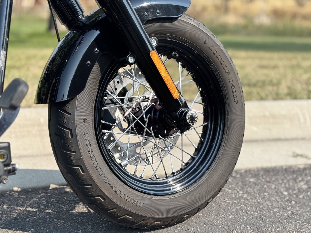 2019 Harley-Davidson Softail Slim Vivid Black - Photo 10