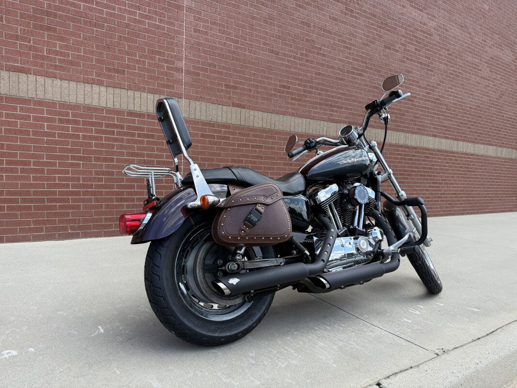 XL1200C 2006 1200 Custom - Photo 3
