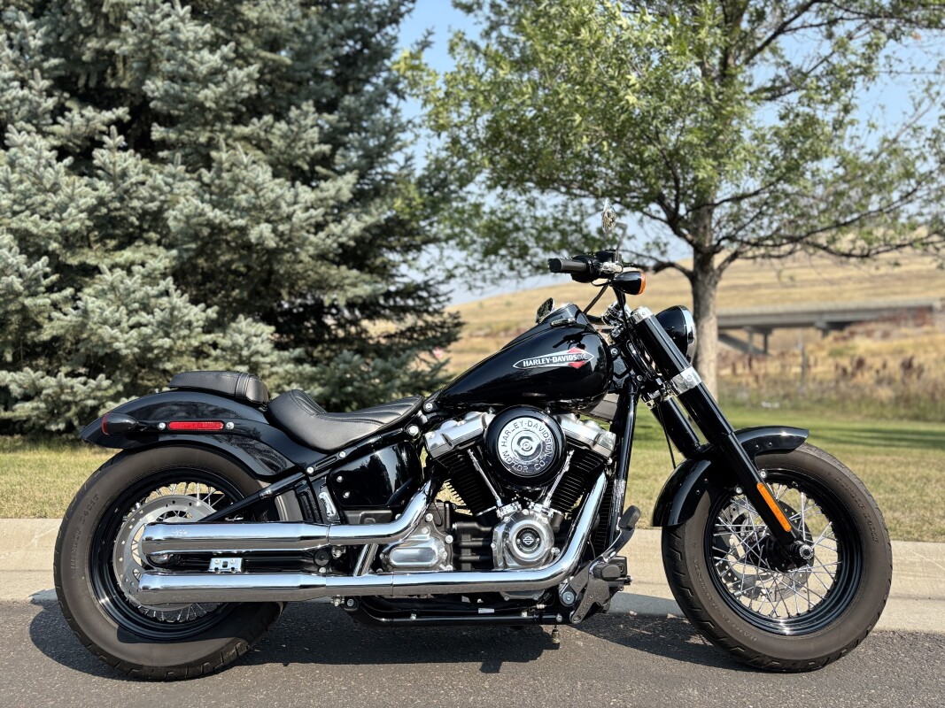 2019 Harley-Davidson Softail Slim Vivid Black